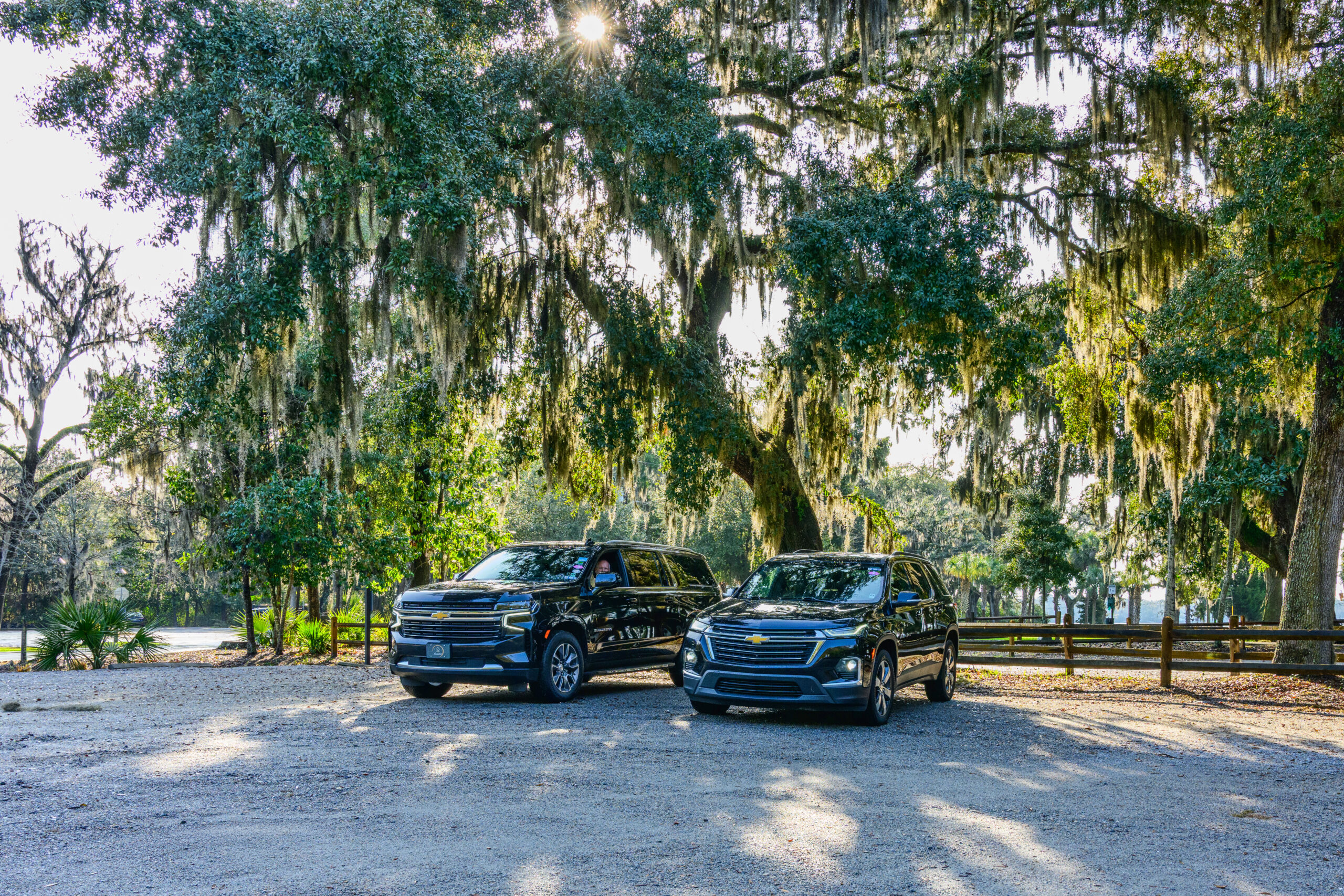 sub and trav witha tree